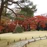 殿ヶ谷戸庭園14