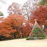 殿ヶ谷戸庭園16
