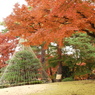 殿ヶ谷戸庭園18