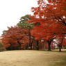 殿ヶ谷戸庭園20