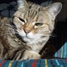 DSC04011