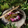 つくばい_林芙美子記念館