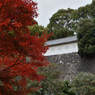 皇居乾通り_03