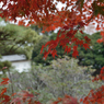 皇居乾通り_04