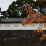 皇居乾通り_07