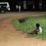 Yothiyothi Kansatsu