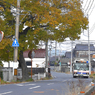 写真エッセイ：バス、浜街道をゆく：NTW152