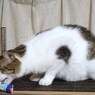 DSC01077