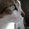 DSC03971