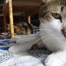DSC04047