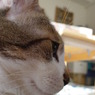 DSC04062