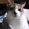 DSC04082