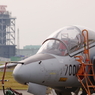 IMGP6048-