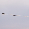 IMGP6498-