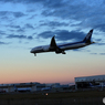 「青色が好き」 シルエット ANA 787-9 到着
