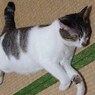 DSC01049
