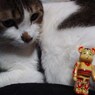 DSC03864