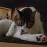 DSC01053