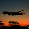 「空色」 シルエットJapan Airlines787-9