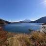 眩しい朝