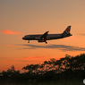 「青色が好き」 シルエット ☆Jetstar☆