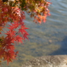 紅葉9 2018 FUJIFILM X20
