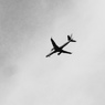 flight