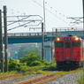 IMGP5763