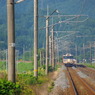 IMGP5764