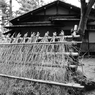 冬支度