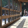144 鶴岡八幡宮