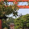 149 鶴岡八幡宮