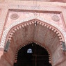 RIMG0229
