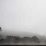 霧の中