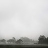 霧の中