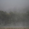 霧の中