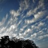 きょうの夕雲・・・