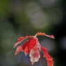 背景選び・・・2