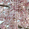年末のご挨拶3