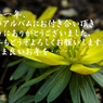 年末のご挨拶5