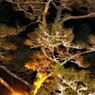 明けましておめでとうございます。