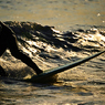 Surfer