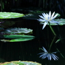静寂