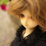 IMGP7662
