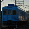 めでたいでんしゃ。