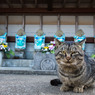 お地蔵様の前で