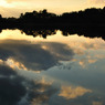silent sunset