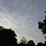 Sky Congestion