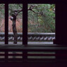 南禅院