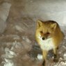 無事でよかった＾＾